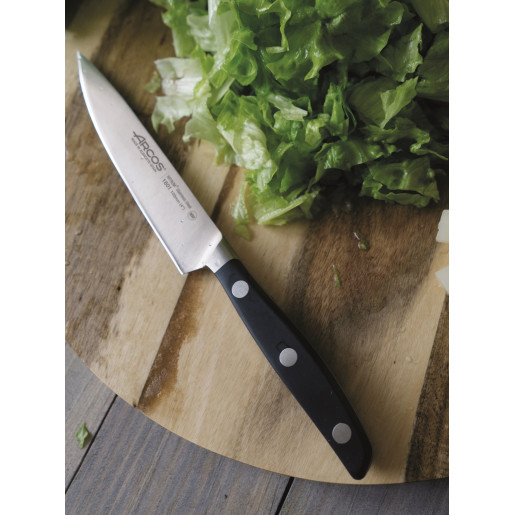 Set Promotional ARCOS "MANHATTAN": Cutitul Bucatarului 21cm, Cutit Santoku 19cm, Cutit de Fileuri 17cm, Cutit de Legume 10cm