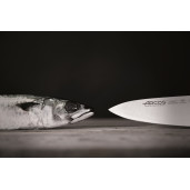 SET 2 Cutite ARCOS "Opera": Cutitul Bucatarului 210mm + Cutit pentru Fileuri 210mm